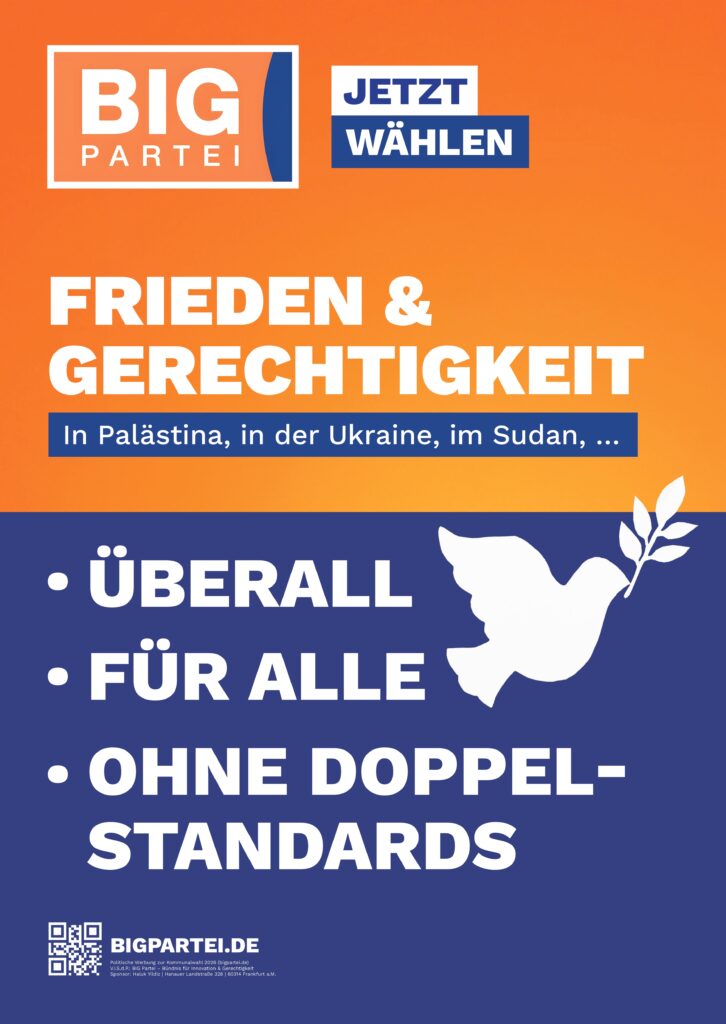 Themenplakate_BIG-Partei_page-0005